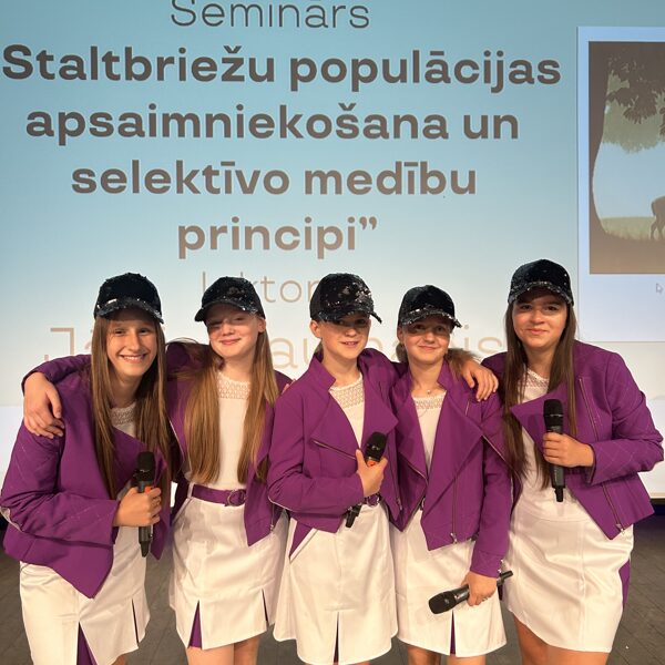 Ludzas pilsētas svētki 2025